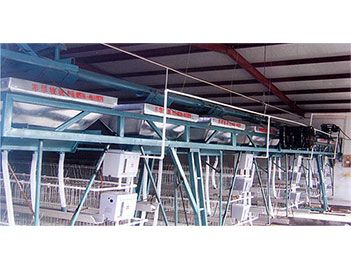 蛋、種雞自動(dòng)給料機(jī)